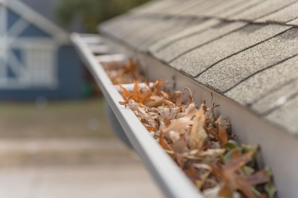 Leaf Barrier Installation in Goshen